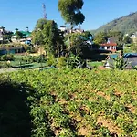 Guest house Green Cottage