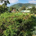 Green Cottage