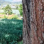 Green Cottage Guest house *