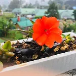Green Cottage Guest house *