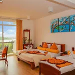 Oak Ray Summer Hill Breeze