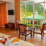 Oak Ray Summer Hill Breeze