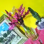 Mudungama Home Stay