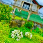 Hill Paradise