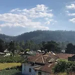 White Cottage 25