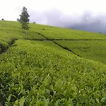 Sri * Nuwara Eliya