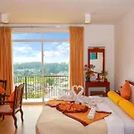 Oak Ray Summer Hill Breeze