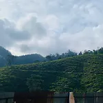Emerald Escapes
