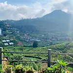 Emerald Escapes