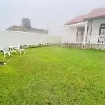 The Misty Cove