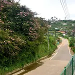 The Dew Drop Guest house *