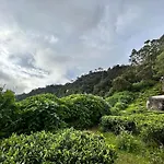 Bungalow In Hawa Eliya Mountains