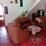 Green View In Nuwaraeliya