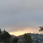 Shalom