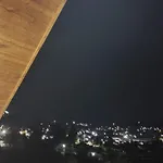 Shalom