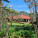 Meena Ella Colonial Bungalow