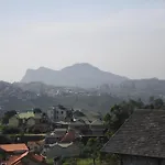 New Rock