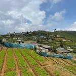 Dawn's * Nuwara Eliya