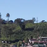 Frosty Heaven Guest House 4* Nuwara Eliya