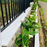Lilys Nuwaraeliya Hotel Nuwara Eliya