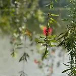 Lakeside By Clover Nuwara Eliya