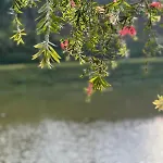 Lakeside By Clover