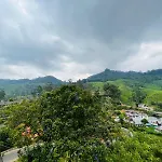 Dream Stay Green