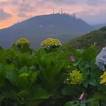 Hikers Holiday home Nuwara Eliya