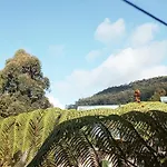 20/20 Wood Nuwara Eliya