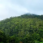 Apartment Wintry Hills-nuwara Eliya *