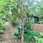 City Home Stay