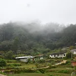 Mihidum Sihina Guest