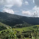 Nuwaraeliya Activities