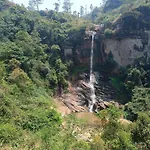 Nuwaraeliya Activities