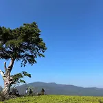 Cabin 7000 Feet Nuwaraeliya