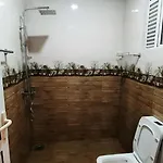Golden Eco *