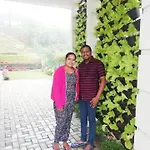 Pensive - Hotel Nuwara Eliya