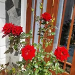 Pensive Villa - Nuwara Eliya