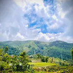 Wonder Hills