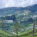 Mountain Misty By Travel Corners