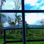 Cozy Hotel