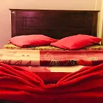 New Shalika Cabin Nuwaraeliya