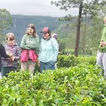Serenity Heights Nuwara Eliya