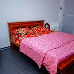 Peace Nest