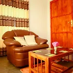 Peace Nest *