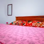 Peace Nest