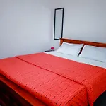 Peace Nest