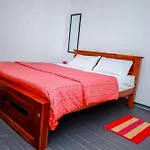 Peace Nest *
