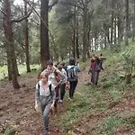 Hikers