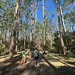 Inn Hikers